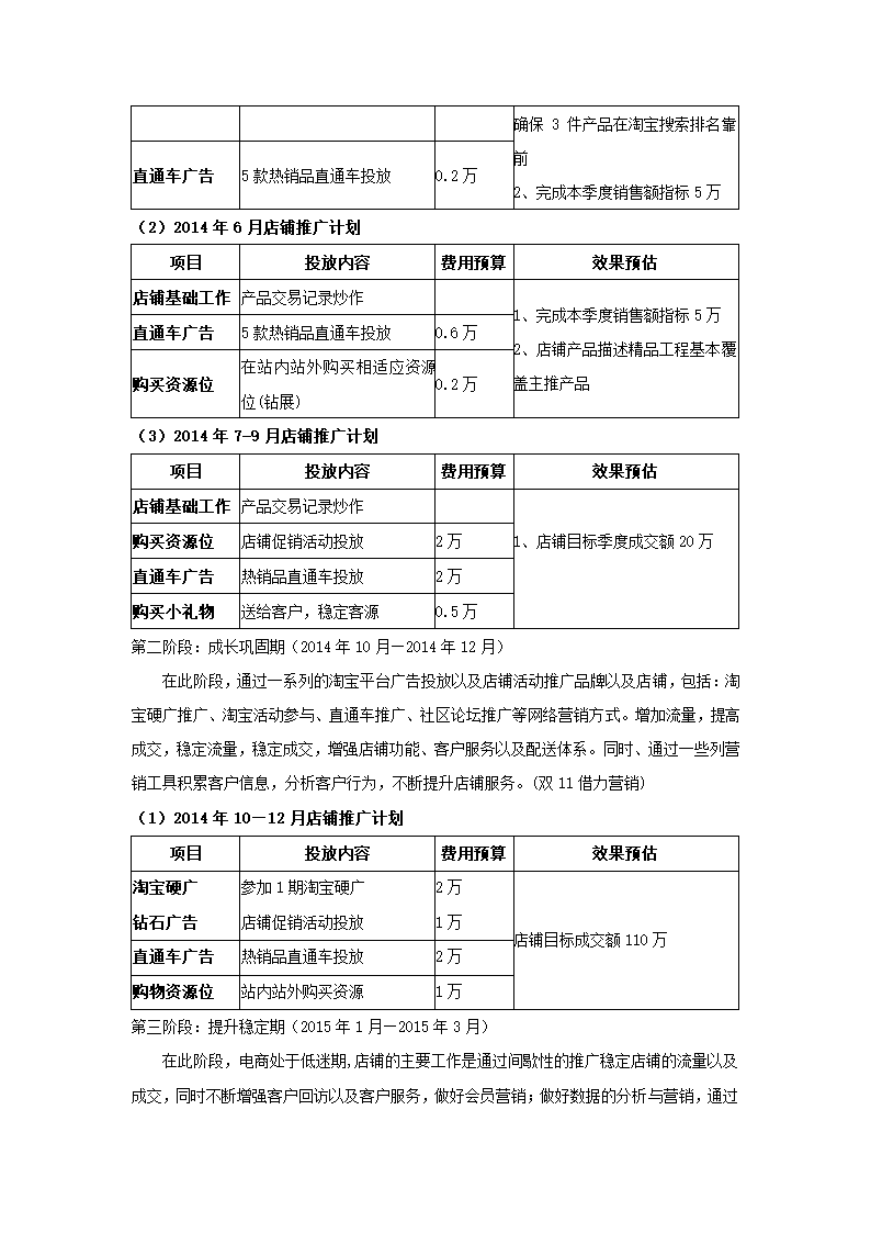 天猫店铺年度运营策划方案.docx第5页