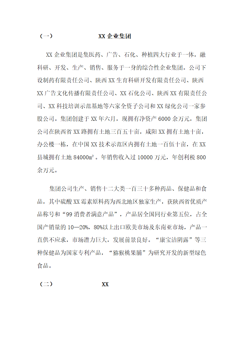 制药公司商业计划书.docx第4页