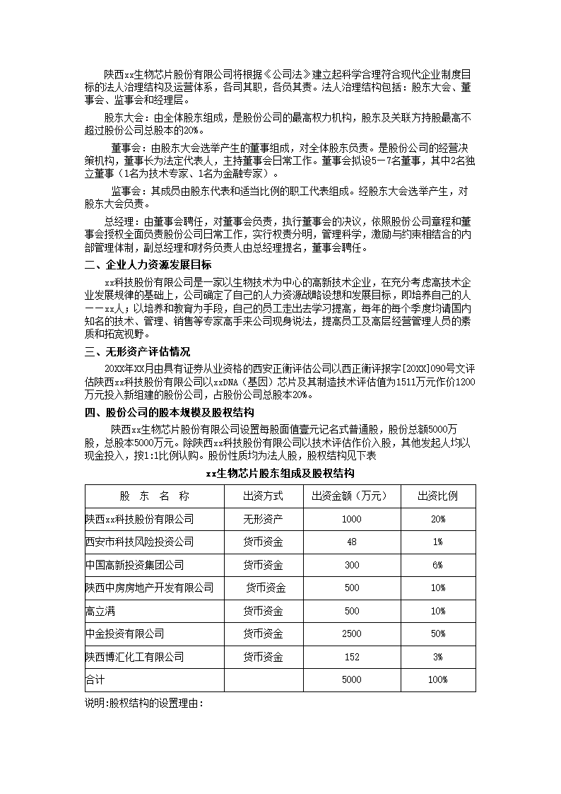 芯片项目商业计划书摘要.docx第22页