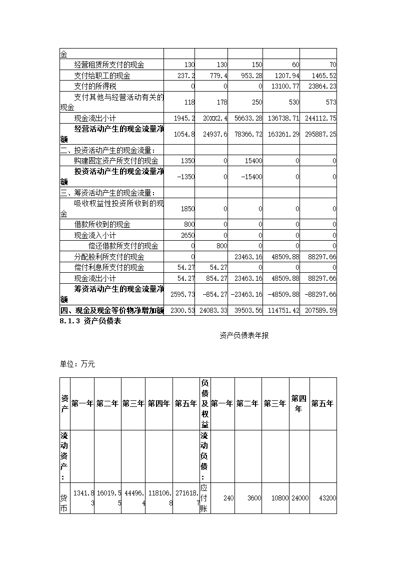 公司商业计划书.docx第28页