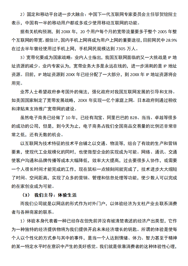 网络公司创业计划书.docx第3页