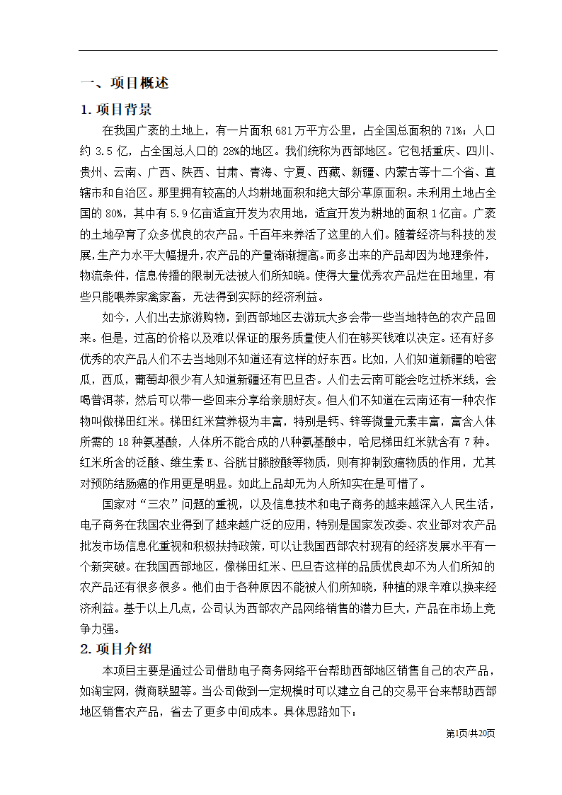 农产品电子商务应用创业计划书.docx第4页