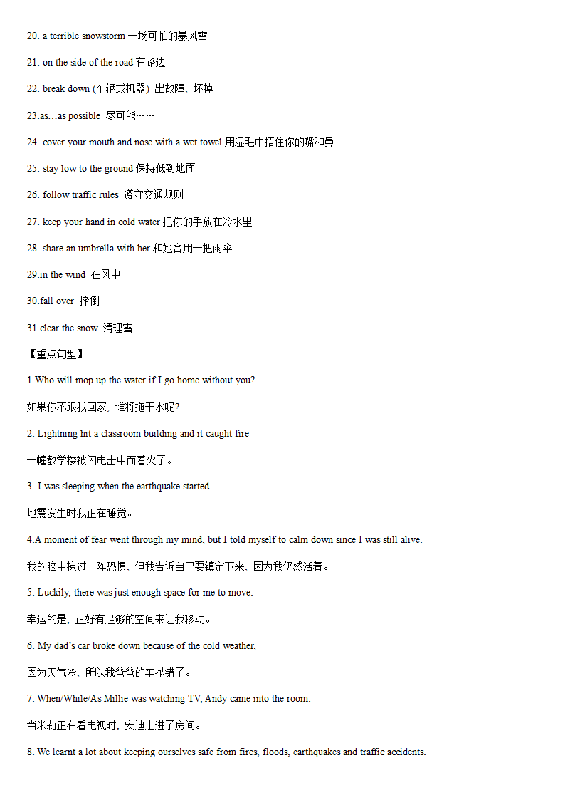 牛津译林版英语八年级上册 重点单词、短语、句型背诵归纳.doc第29页