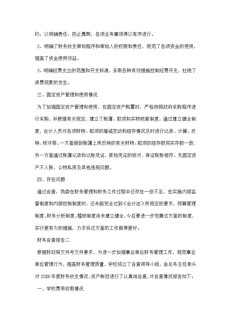 财务自查报告.docx第2页