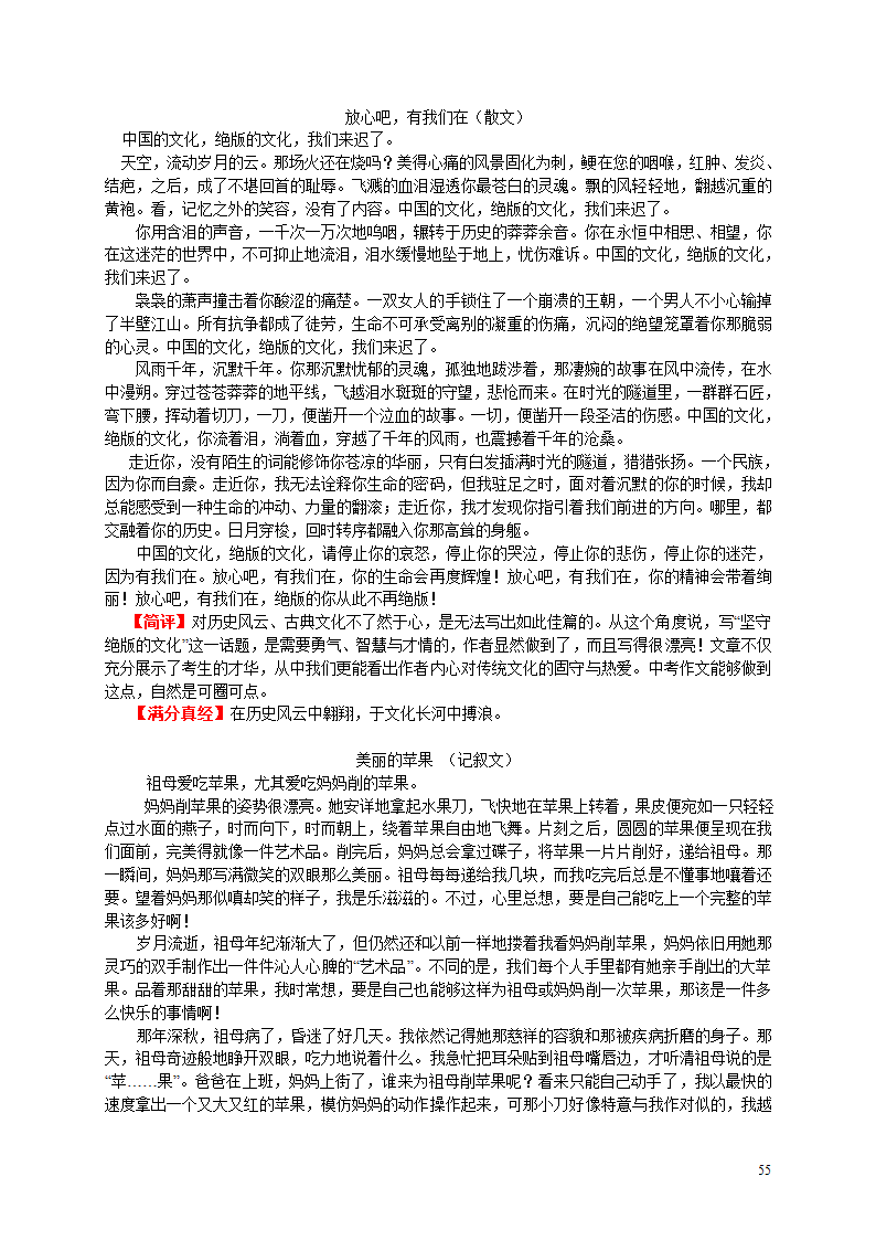 2006年部分地区中考优秀作文选及点评[下学期].doc第55页