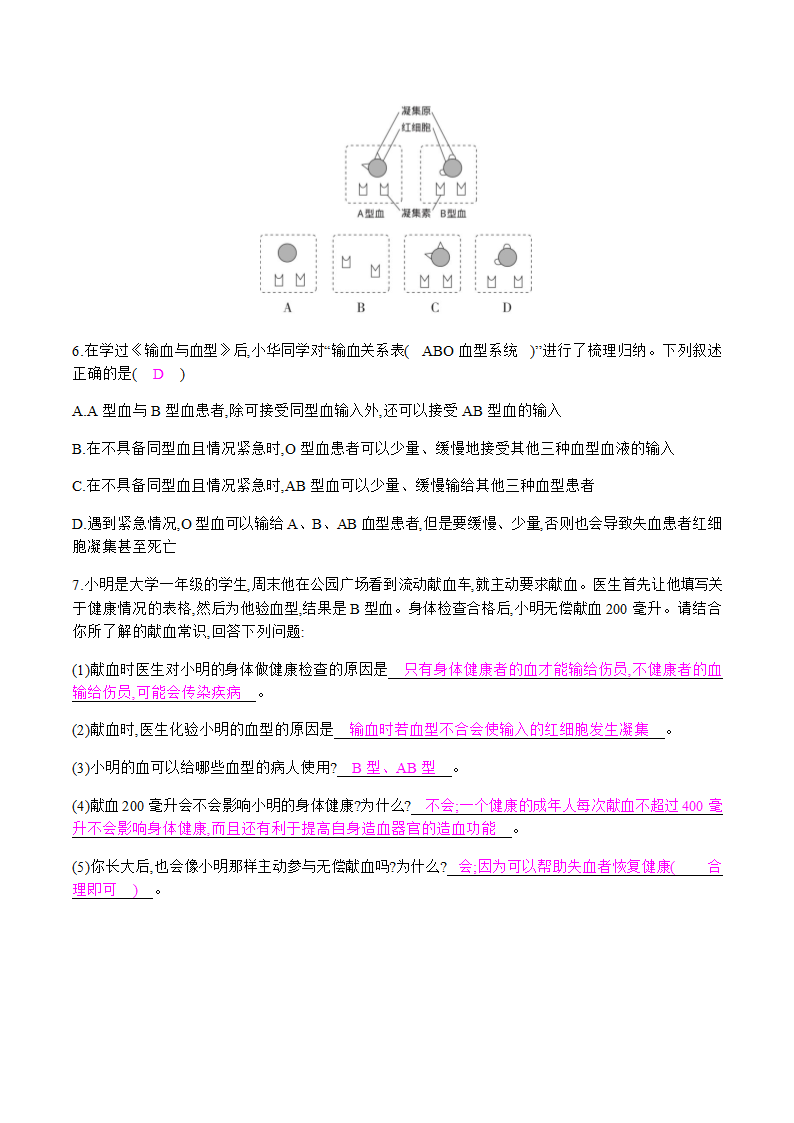 人教版 七下 4.4.4  输血与血型 课时作业 2020-2021学年人教版七年级下册生物（知识点+练习）.doc第4页