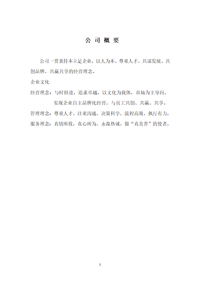 公司商业计划书.docx第3页