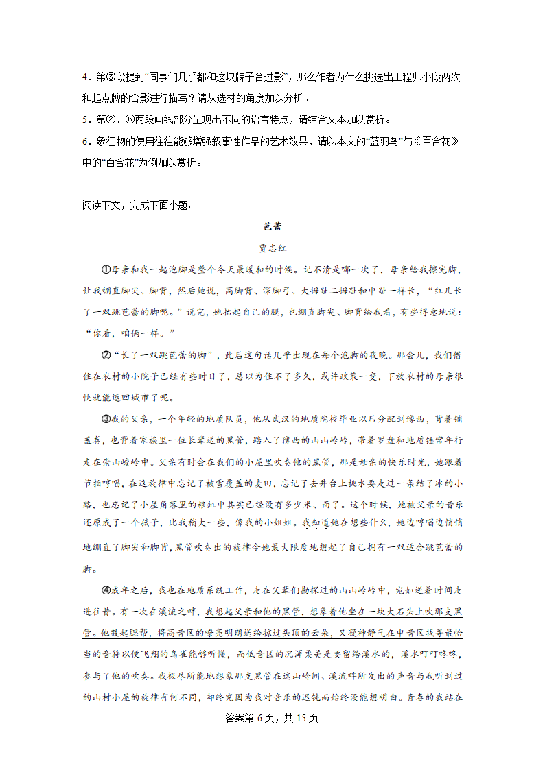 2024届高考散文专题训练贾志红散文（含解析）.doc第6页