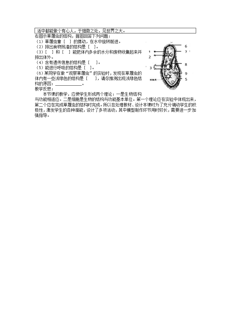 2.2.4单细胞生物教学设计 人教版七年级生物上册.doc第3页