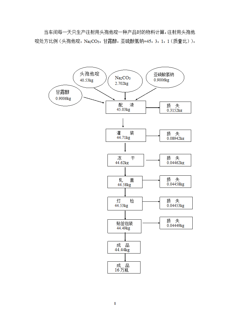 年产4000万支冻干粉针剂车间工艺设计.doc第11页