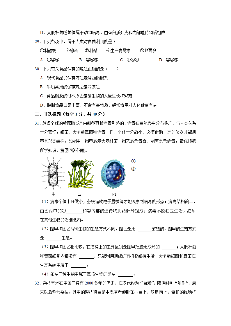 人教版生物八年级上册期中复习题.doc第4页