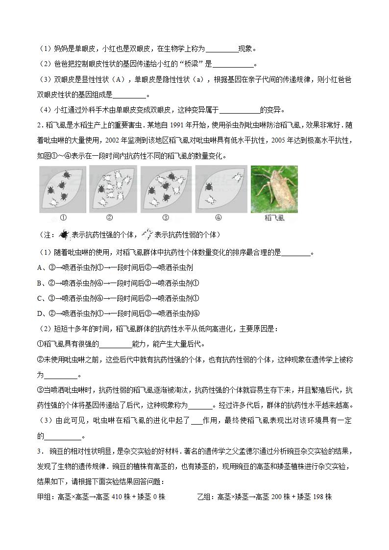 生物的变异、生命的起源和生物进化复习学案.doc第4页