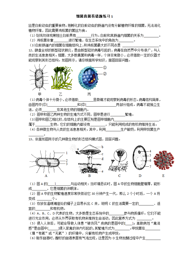 细菌真菌病毒微生物易错练习1（含答案）.doc第3页