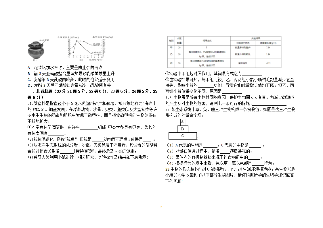 人教版  八年级生物（上册）综合试题（word版 无答案）.doc第3页