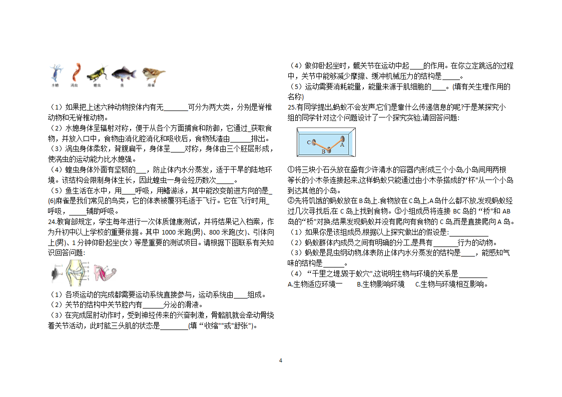 人教版  八年级生物（上册）综合试题（word版 无答案）.doc第4页