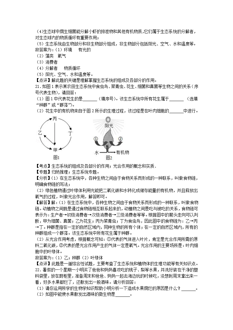 生物八下济南版期末卷3（Word版 含答案）.doc第12页