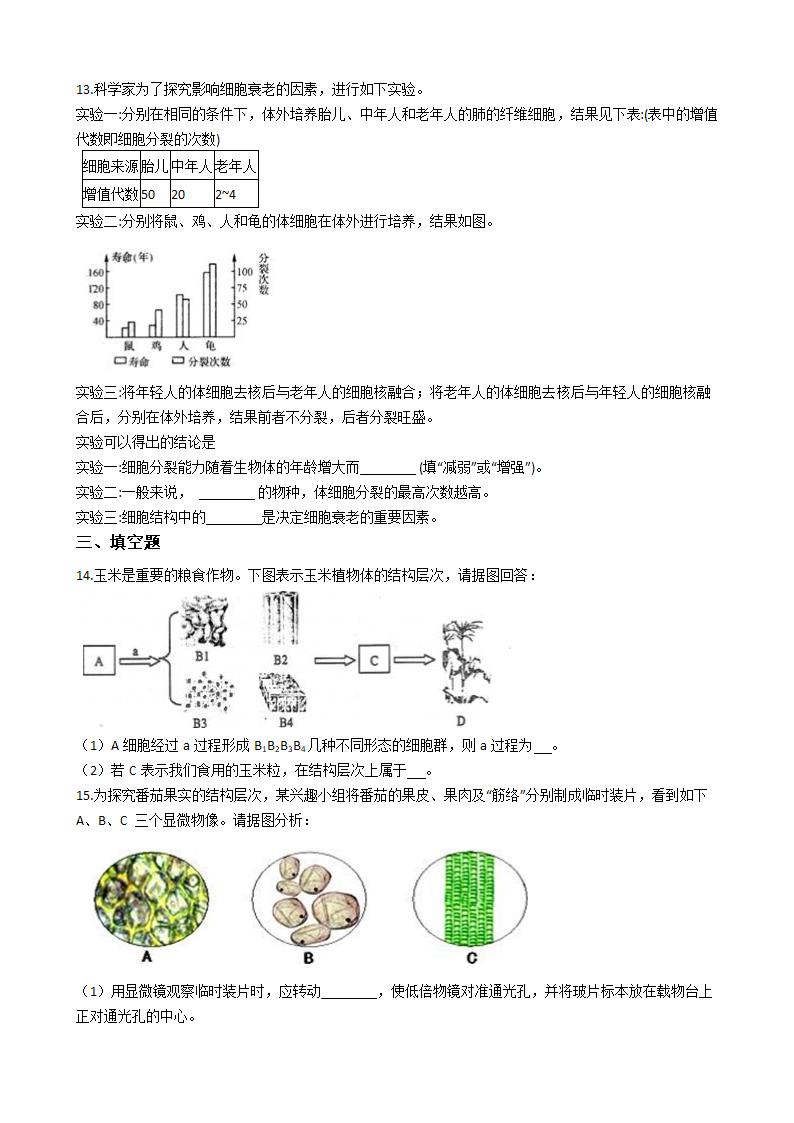 2.3生物体的结构层次 同步练习（含解析）.doc第3页