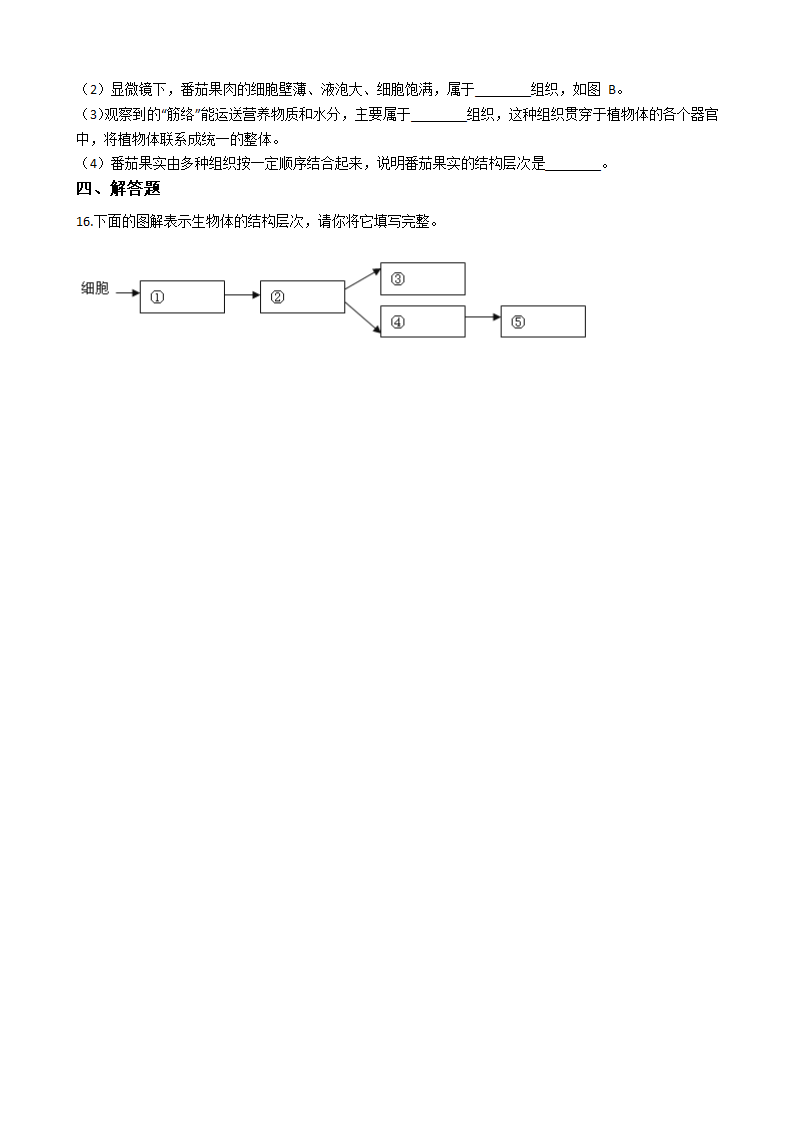 2.3生物体的结构层次 同步练习（含解析）.doc第4页