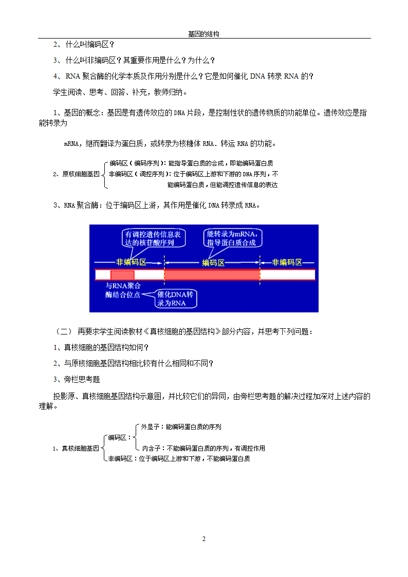 高三上生物 基因的结构-人教版[上学期].doc第2页