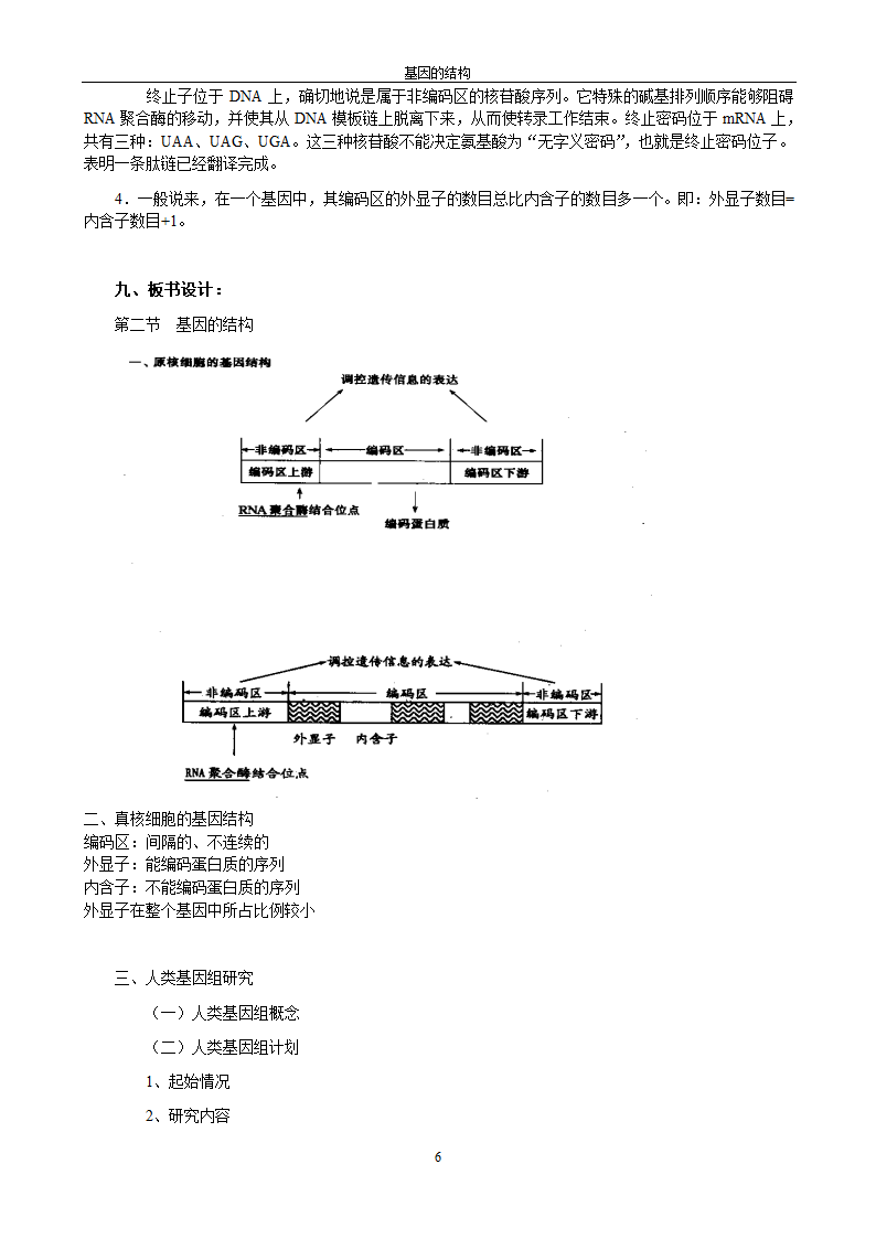 高三上生物 基因的结构-人教版[上学期].doc第6页