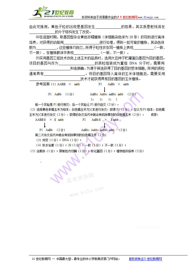 高考生物专题复习教案：遗传简答题型归类及应试技巧.doc第12页