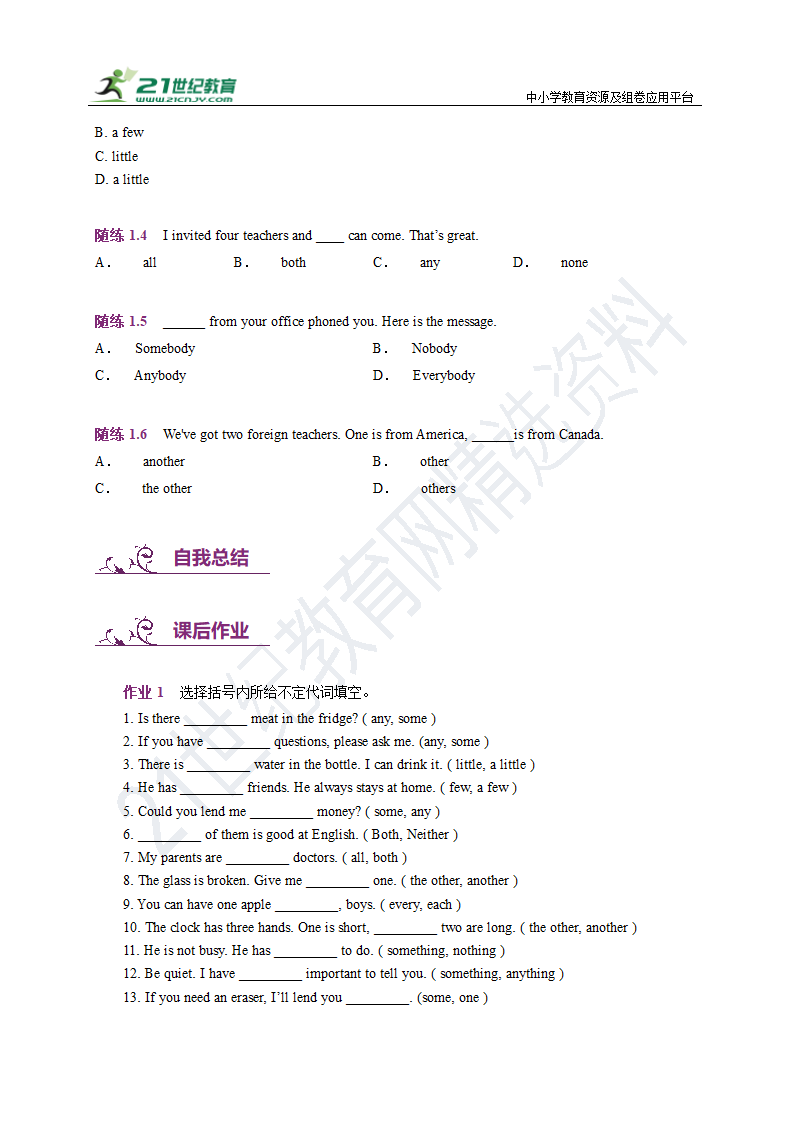 06：中考英语报刊热点时文+语法精选精炼（不定代词重点考点）.doc第12页