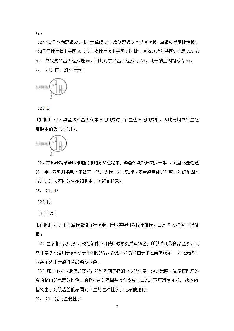 第五章 生物的遗传和变异 质量评估卷（含解析）.doc第20页