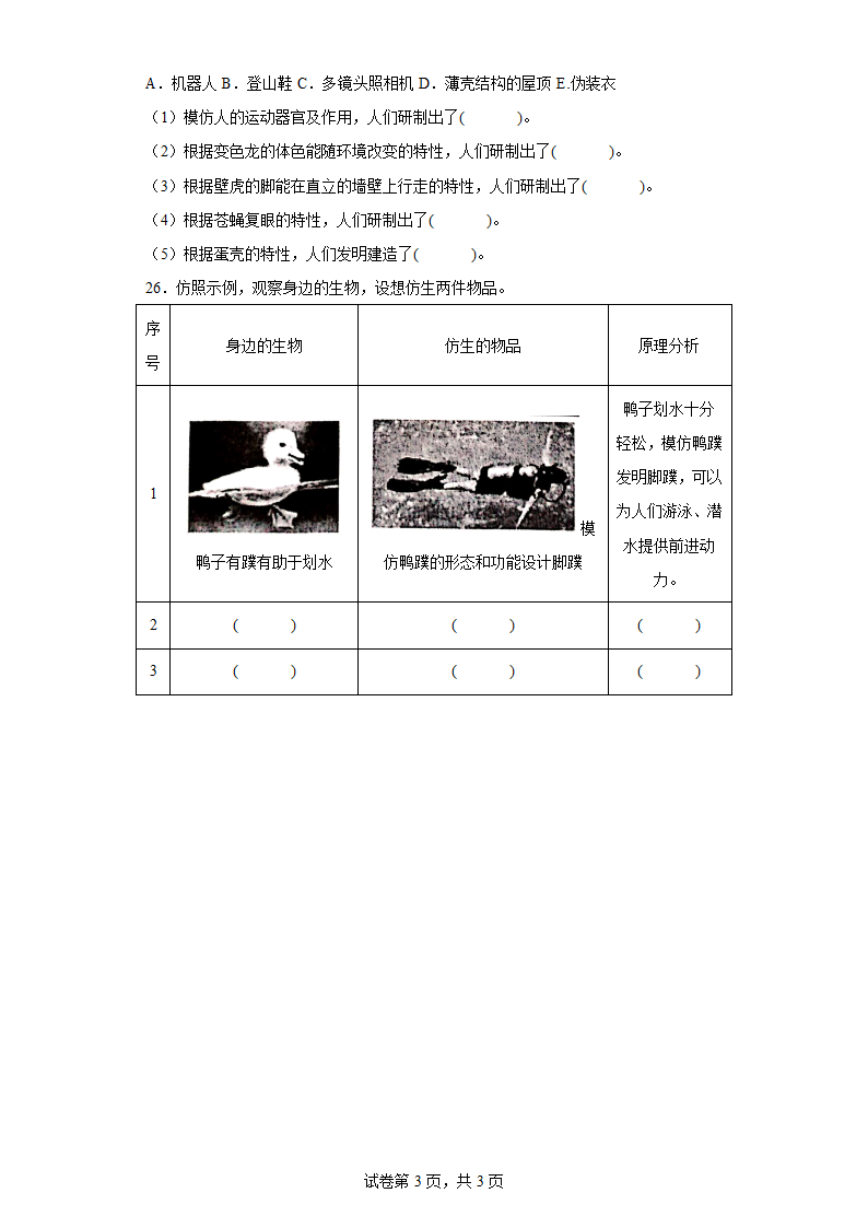 苏教版（2017秋）五年级下册2.5生物的启示练习（含答案）.doc第3页