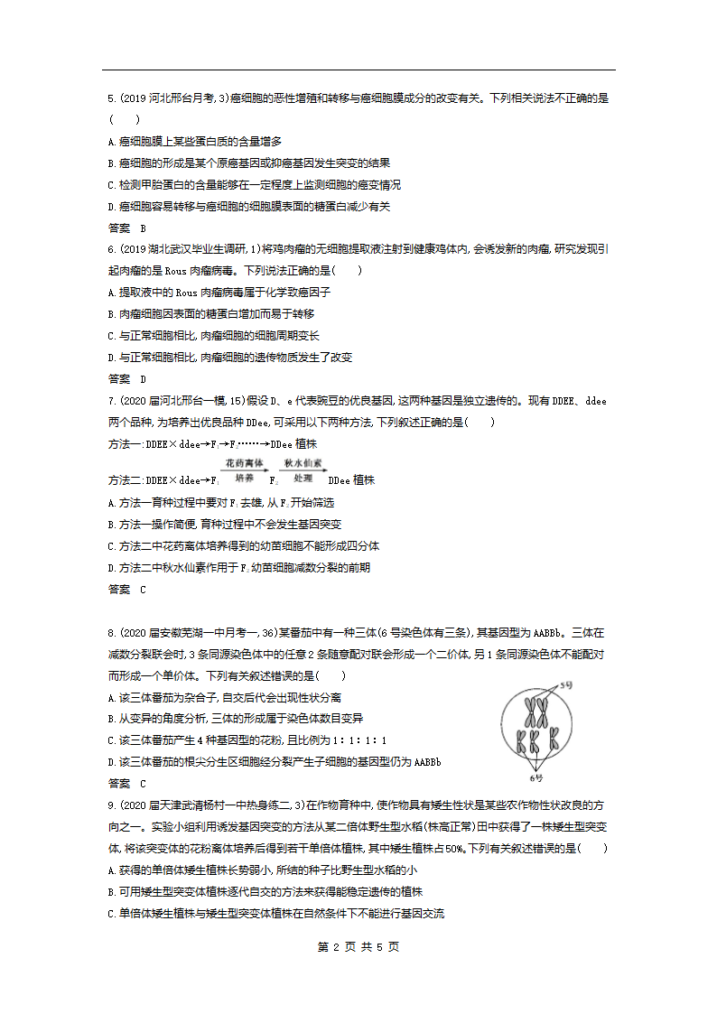 高考模拟题专项训练：专题13生物的变异（含答案）.doc第2页