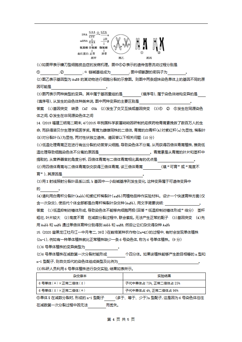 高考模拟题专项训练：专题13生物的变异（含答案）.doc第4页