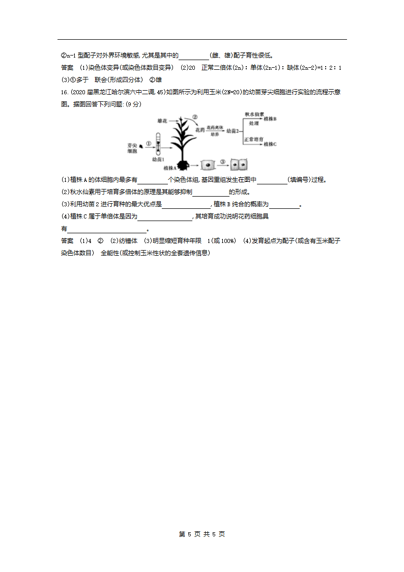 高考模拟题专项训练：专题13生物的变异（含答案）.doc第5页