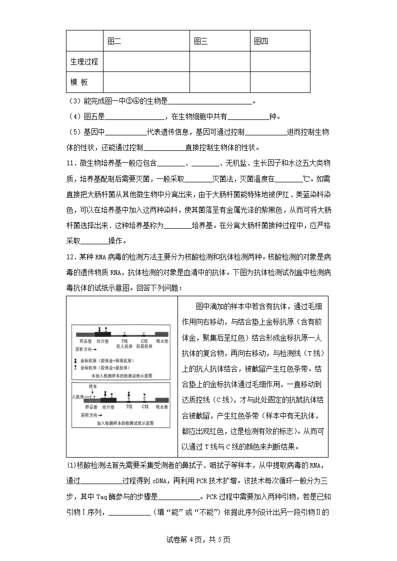 2022-2023学年贵州省高三第三次模拟理综生物试卷（含解析）.doc第4页