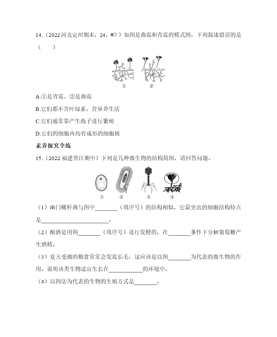 冀教版生物八年级上册 5.2.1 酵母菌和霉菌 同步练习（含解析）.doc第4页