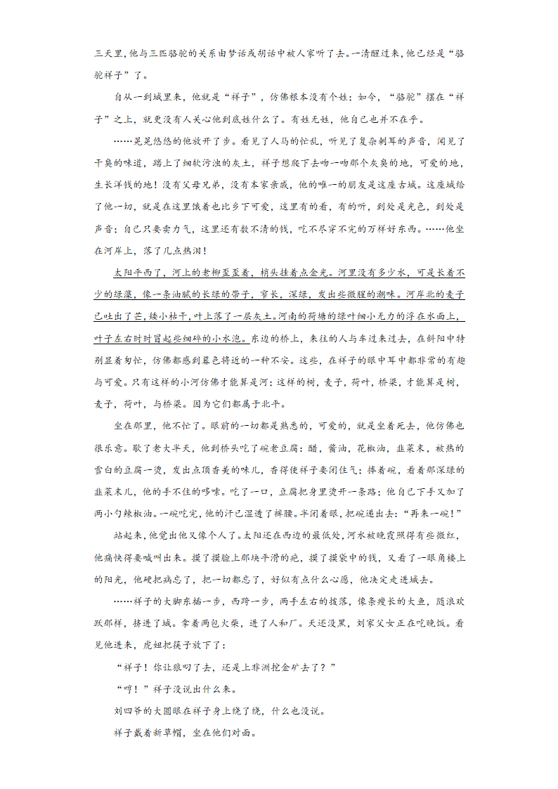 高中语文高考复习 老舍作品 阅读专项练习（含答案）.doc第28页