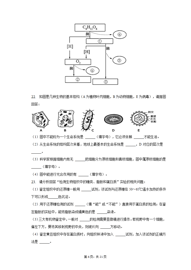 2022-2023学年湖南省衡阳市高一（上）期末生物试卷（含解析）.doc第6页