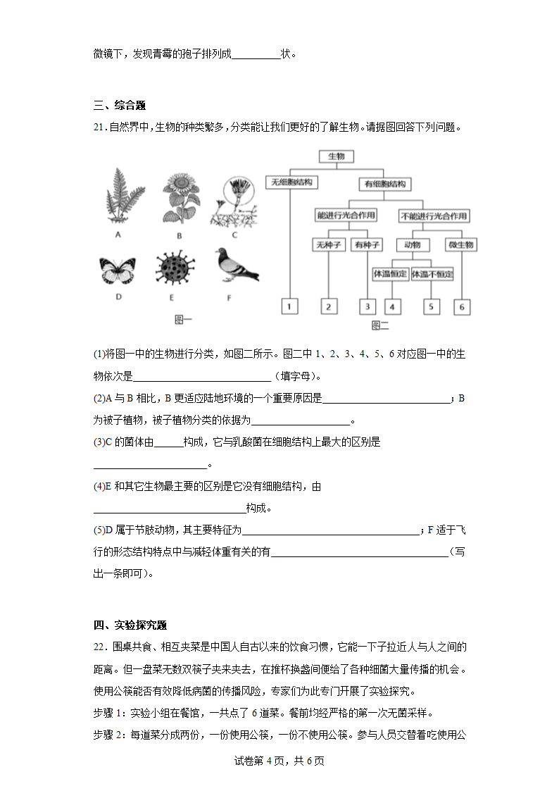 第五单元 第二章 真菌 同步练习（含答案） 冀教版生物八年级上册.doc第4页