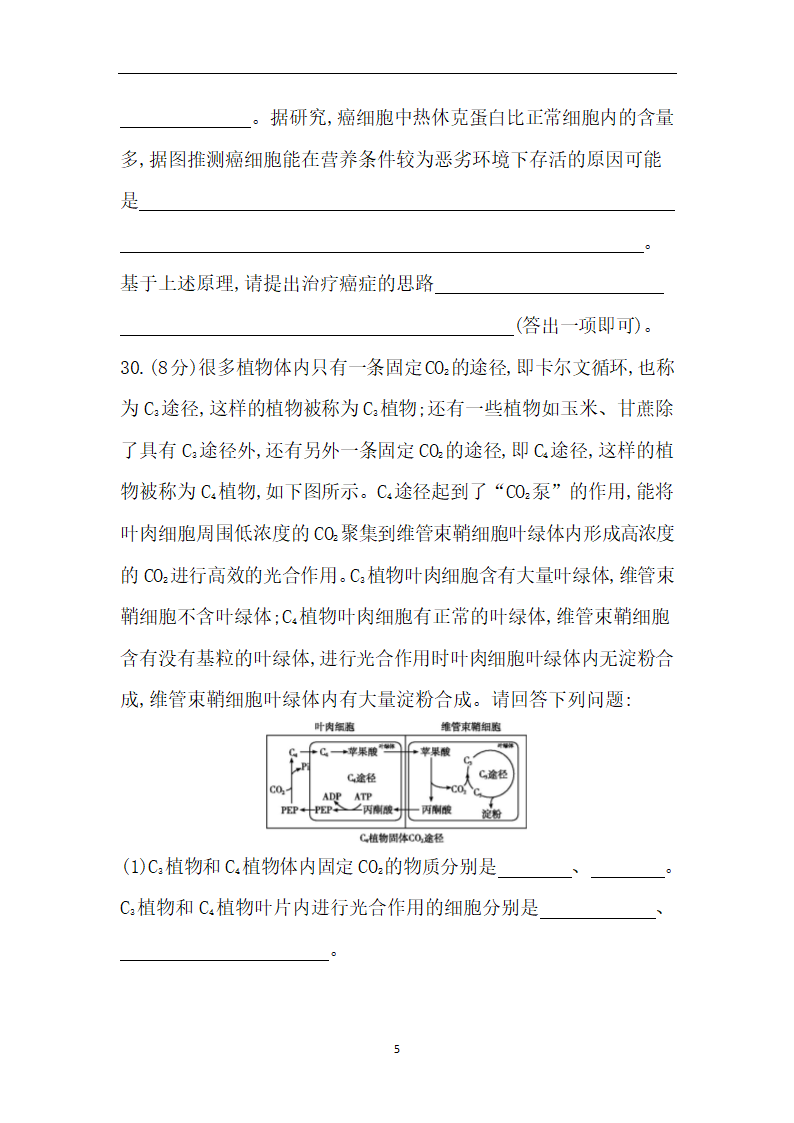 5高中生物二轮复习：高考仿真冲刺卷五（含答案详解）.doc第5页