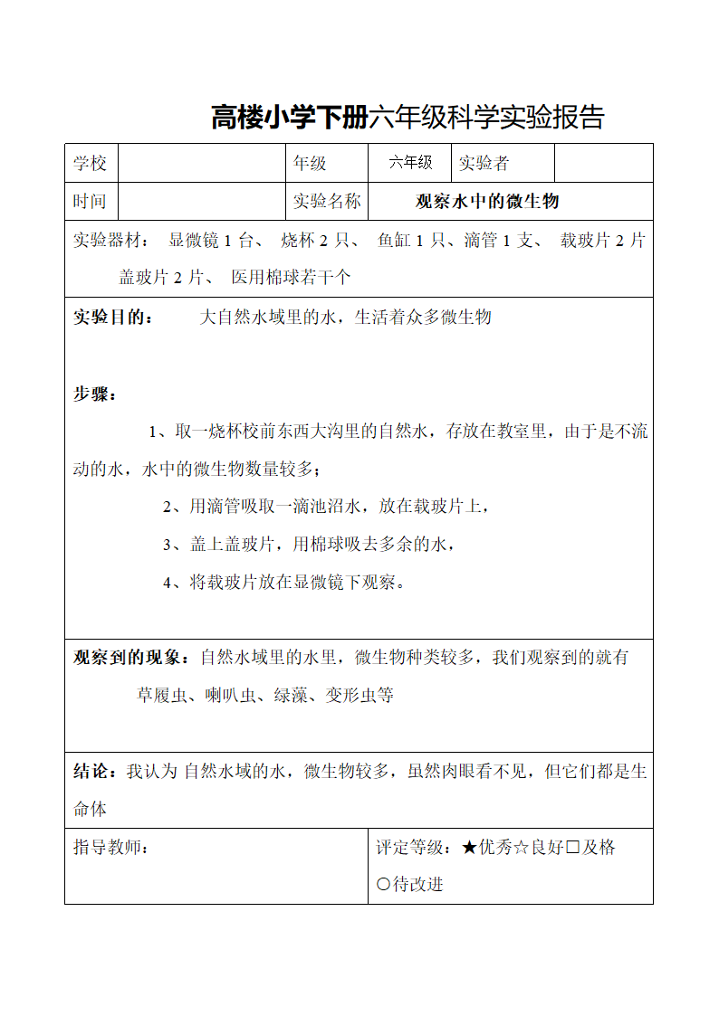 小学下册六年级科学实验报告.docx第10页