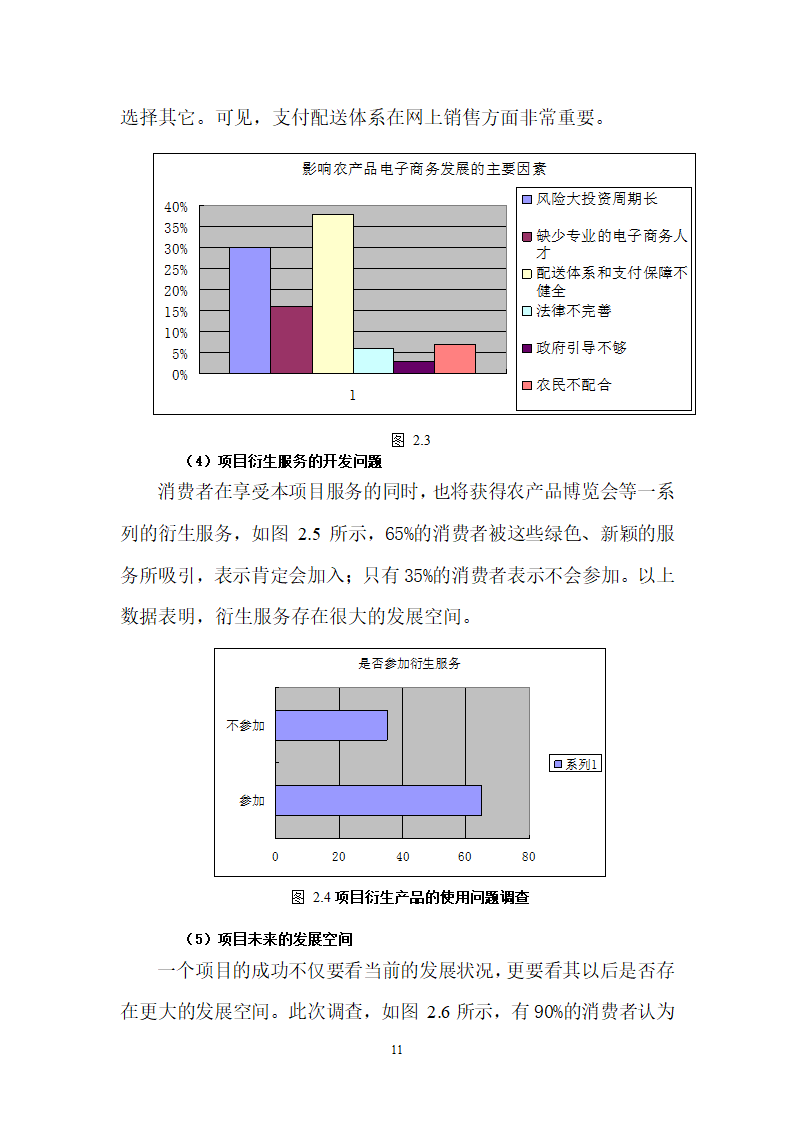 农产品电子商务应用创业计划.doc第11页