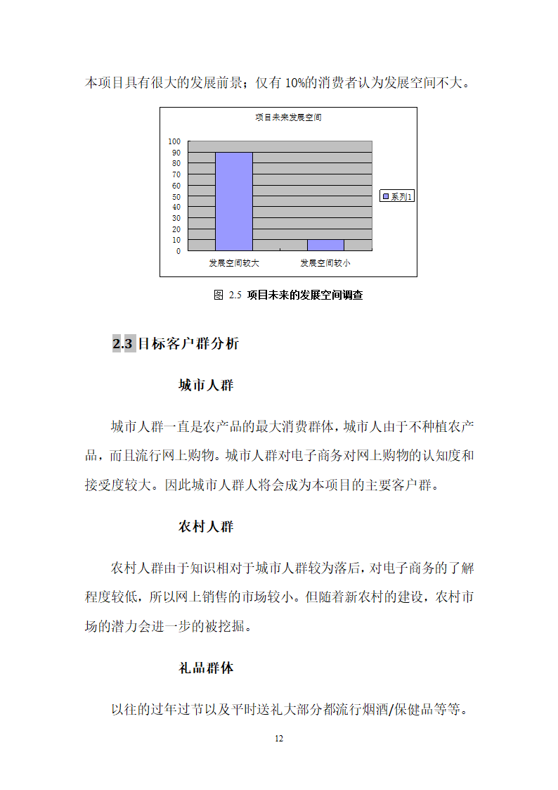 农产品电子商务应用创业计划.doc第12页