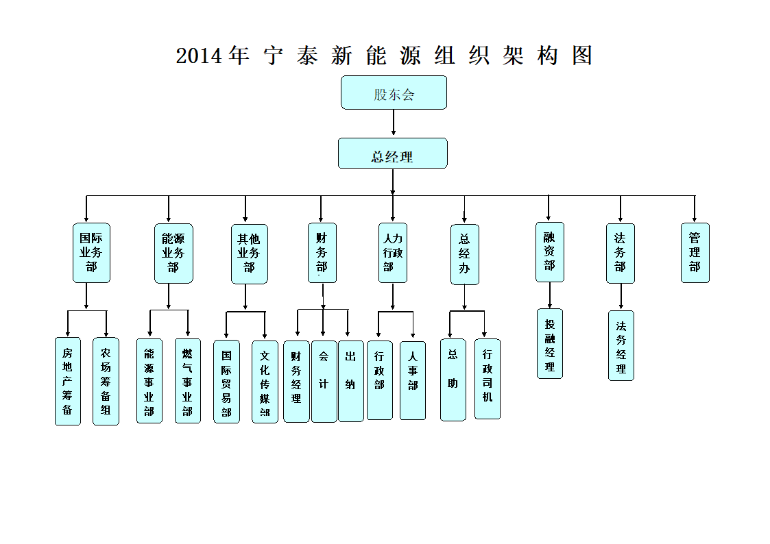 公司组织架构图第1页