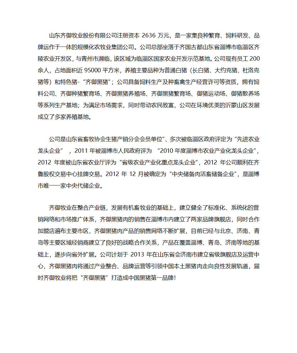 企业简介第1页