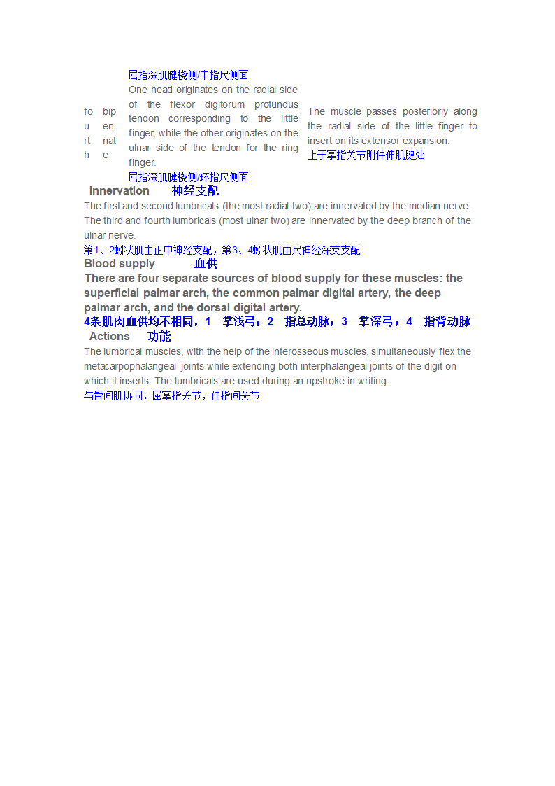 手内在肌第2页