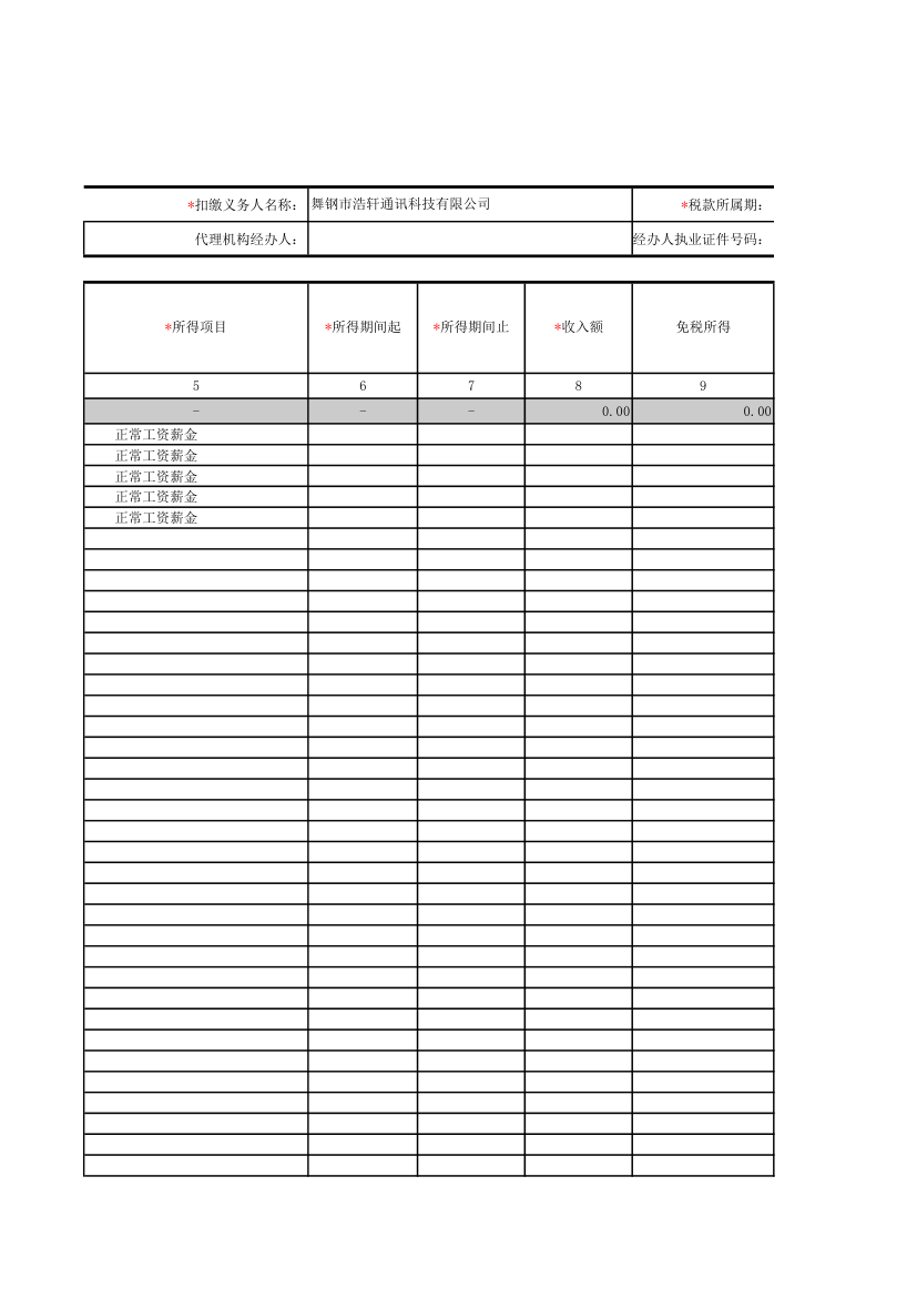 个税模板第21页