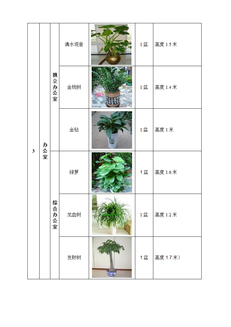 绿化租摆方案第3页