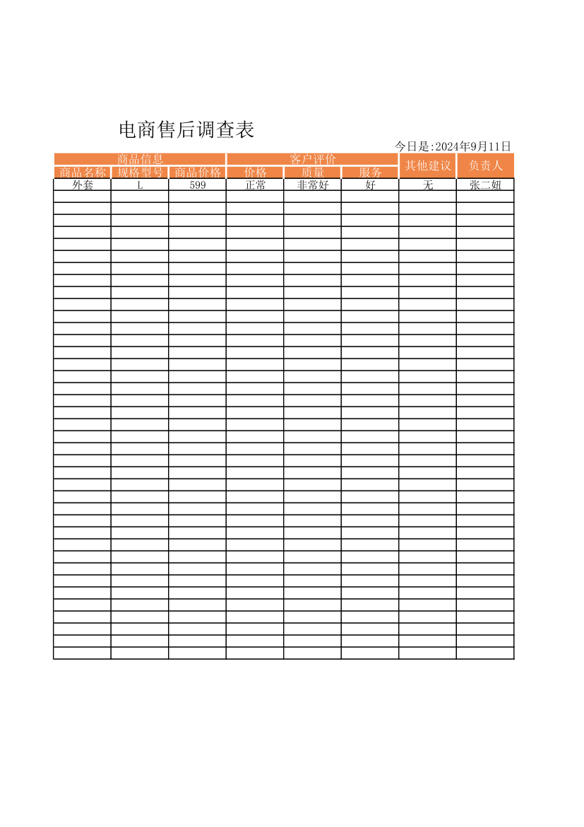 电商售后调查表.xlsx第2页