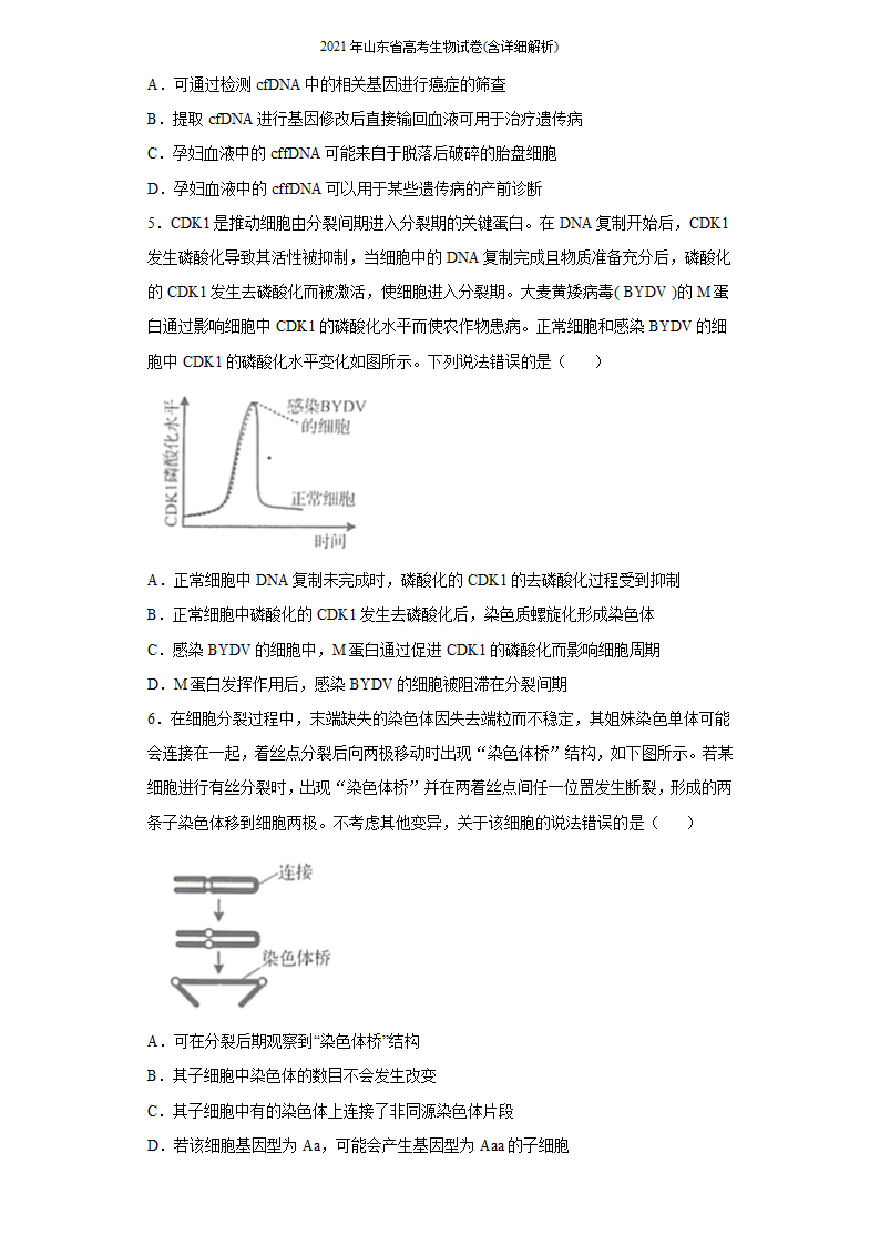 2021年山东省高考生物试卷(含详细解析)第2页