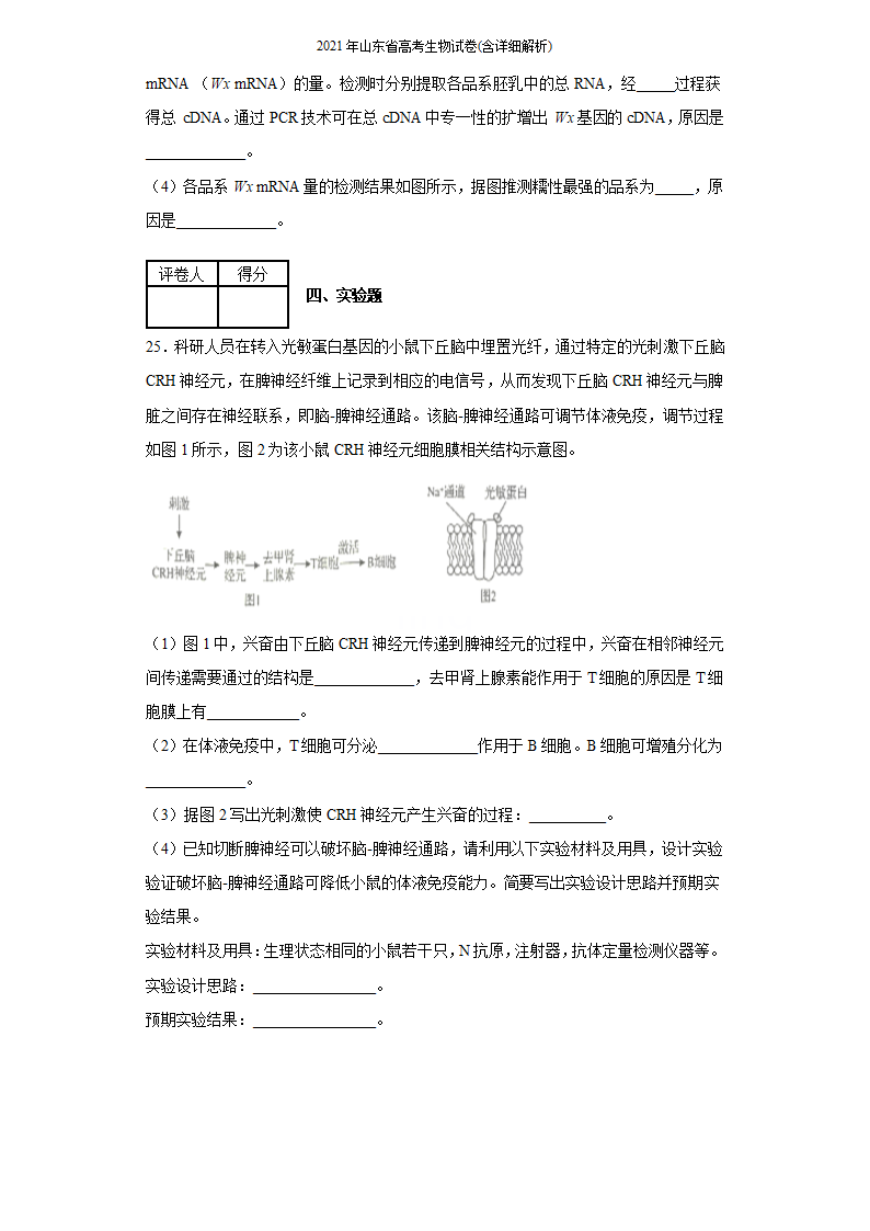 2021年山东省高考生物试卷(含详细解析)第10页