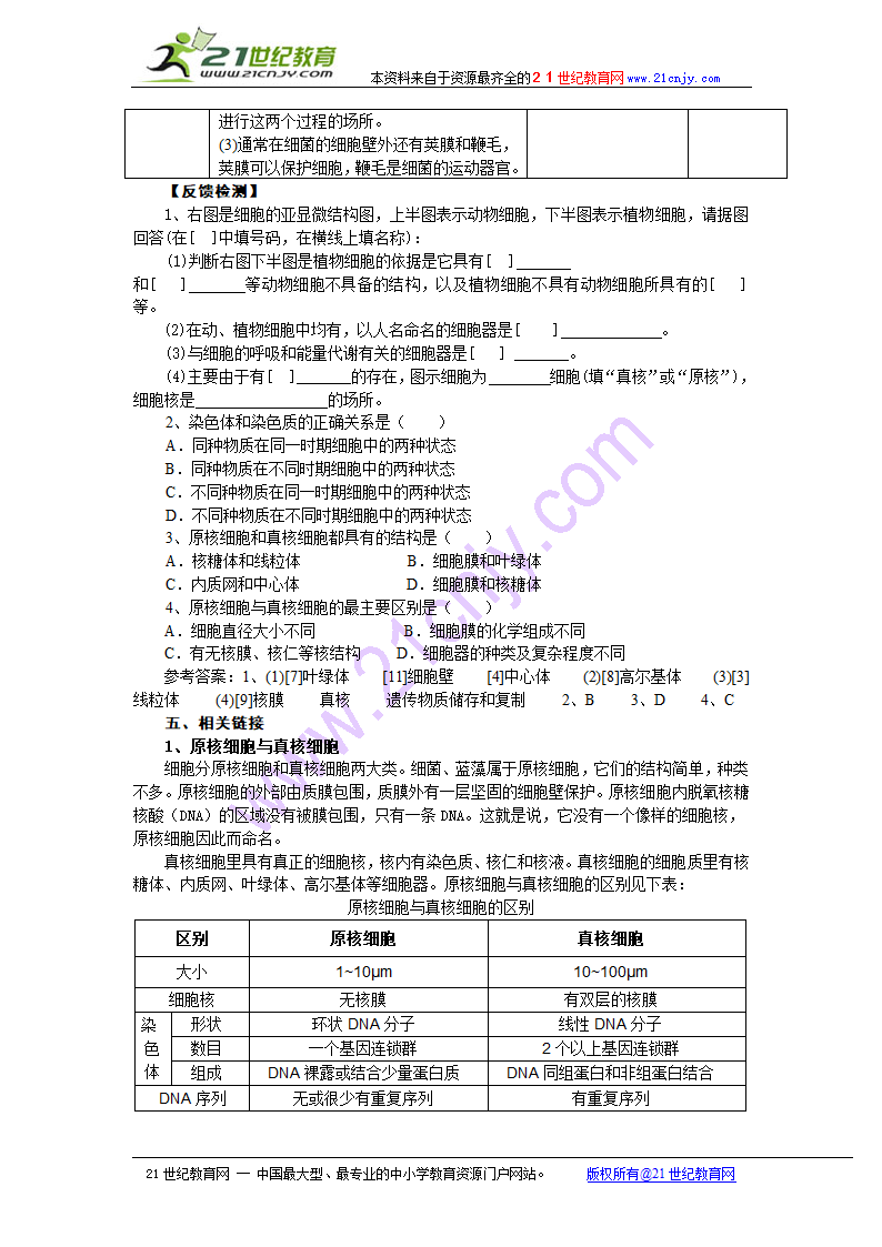 教案 原核细胞第3页