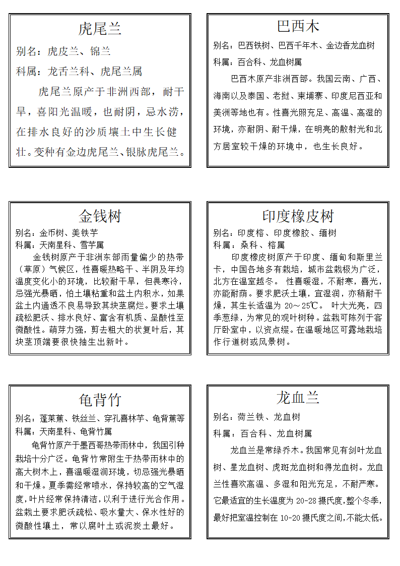 盆栽花木植物标签第1页